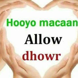 Meet your Posher, Abdullehi